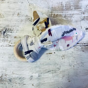 mordicchio fattoria dentizione